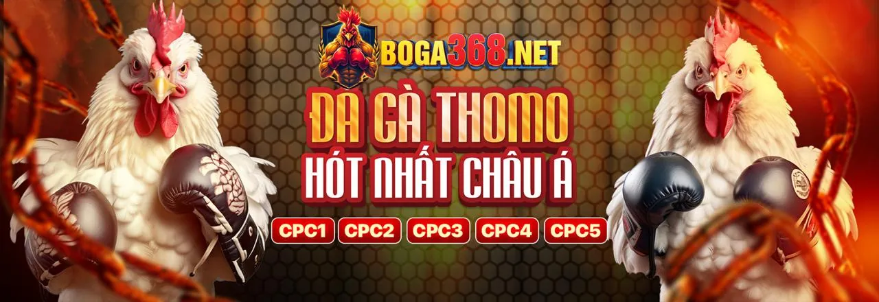 Đá gà trực tiếp Suncity Link Mới 2026
